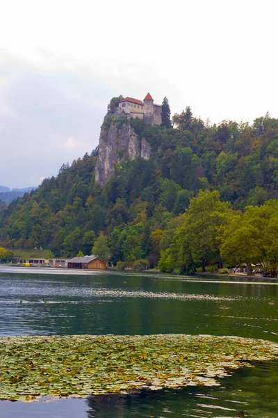 Beautiful Nature Scenic Lake Bled Slovenia — Stock Photo, Image