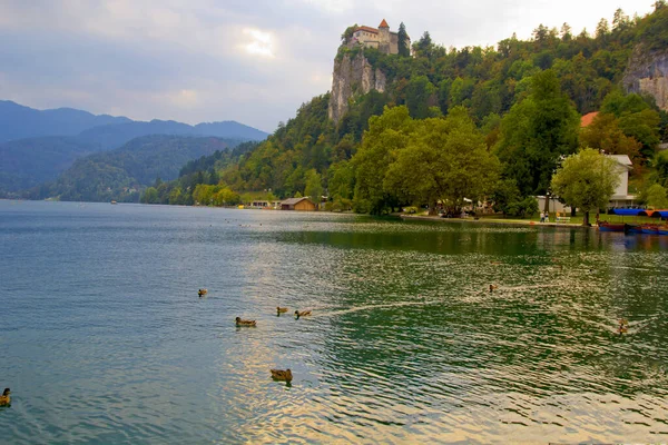 Beautiful Nature Scenic Lake Bled Slovenia — Stock Photo, Image
