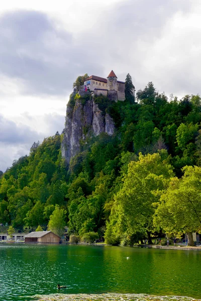 Castle Bled Lake Bled Slovenia — Stock Photo, Image