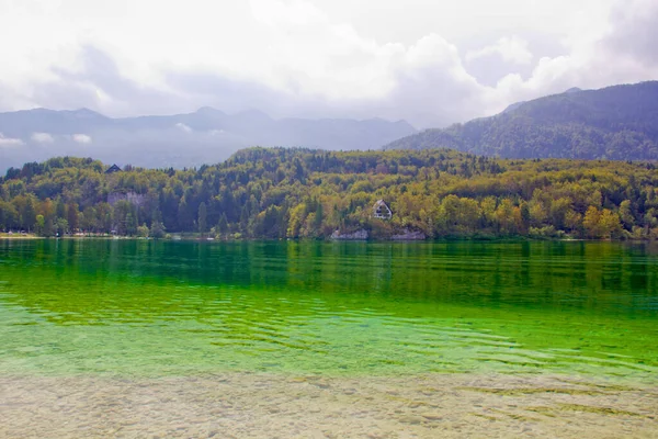 슬로베니아 호수에 나무들로 이루어진 — 스톡 사진