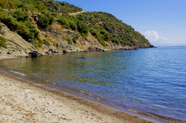 Yazın hindiyle güzel bir kumsal sahnesi