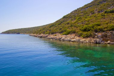 Cesme 'de güzel bir yaz sahnesi, İzmir hindisi
