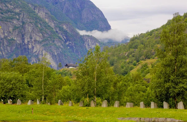 Táj Erdőkkel Hegyekkel Norvégiában — Stock Fotó