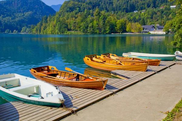 Красивый Вид Озеро Кровоточащее Осенью Словении — стоковое фото