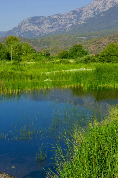 Красиве Озеро Горах Влітку — стокове фото