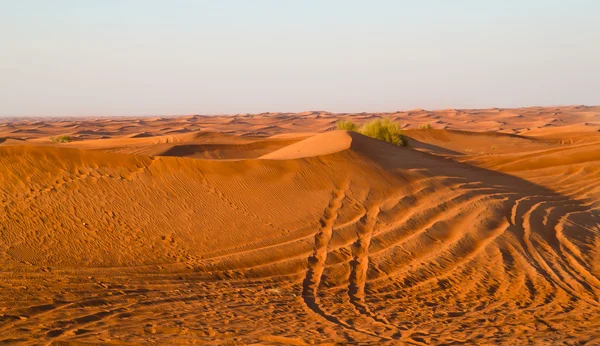 Desierto árabe, dubai —  Fotos de Stock