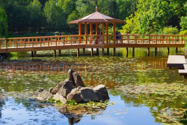 Wroclaw, Polonya 'daki güzel Japon bahçesi manzarası