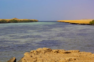 Sharm El Sheikh, Mısır 'daki güzel kızıl deniz manzarası