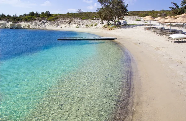 Hermosa escena de verano — Foto de Stock