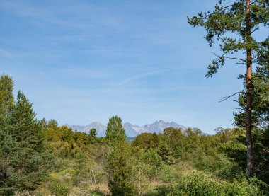 Slovakya 'nın vahşi doğası. High Tatras manzaralı.