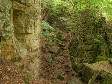 Büyük kayaların arasında birkaç adım olan dar bir yol.