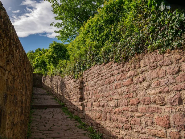 Вузька Стежка Невеликими Сходами Між Двома Кам Яними Стінами — стокове фото