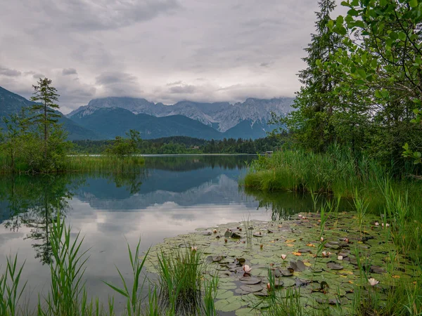 Pequeno Lago Nos Alpes Com Lírios Floridos — Fotografia de Stock