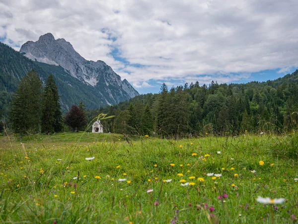 Beautiful Flower Meadow Small Chapel Mountains — Stock Photo, Image