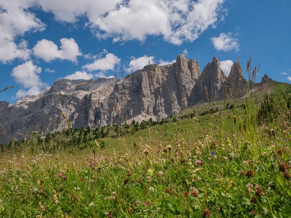 Lussureggiante Prato Montagna Con Vari Fiori Montagne Rocciose Sullo Sfondo — Foto Stock