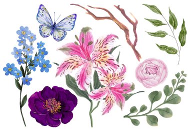 Botanik çiçekleri açsın. Dallar, yapraklar, bitkiler, yabani bitkiler, çiçekler. Bahçe, çayır, saha elementleri. Toplama yaprağı, yeşillik. Çiçek çizimi beyaz arkaplanda izole edildi