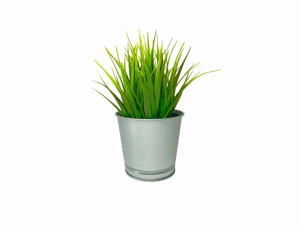 Green Plant Interior Grass Decoration Fake Plant Isolated White Background — Stock Photo, Image