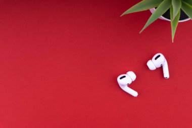 Kuala Lumpur, Malezya - 12020 Aralık: Kırmızı zemin üzerinde Airpod Pro ve dekoratif bitki