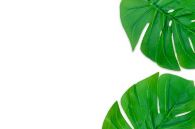 Canavar yazı beyaz arka planda terk eder. Boşluk konseptini ve üst görünümü kopyala