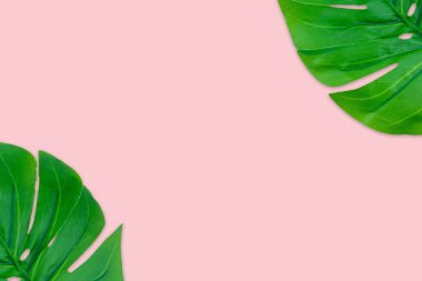 Canavar yazı pembe arka planda geçirir. Boşluk konseptini ve üst görünümü kopyala