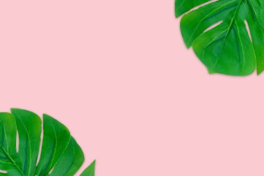 Canavar yazı pembe arka planda geçirir. Boşluk konseptini ve üst görünümü kopyala