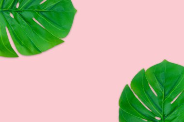 Canavar yazı pembe arka planda geçirir. Boşluk konseptini ve üst görünümü kopyala