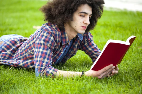 Young man read book in grass