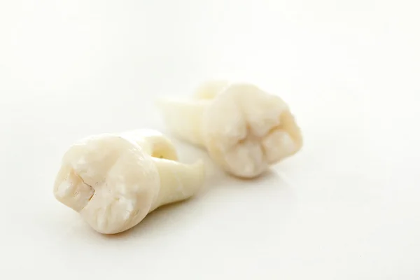 Usunięcie zęba mądrości na biały — Zdjęcie stockowe