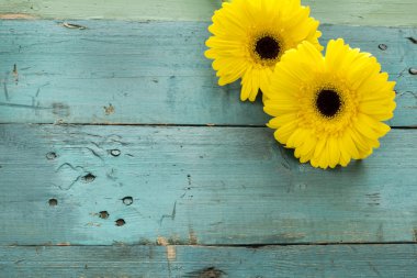 ahşap zemin üzerine sarı çiçek