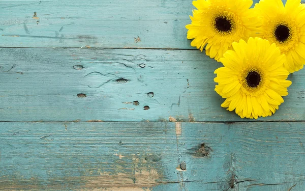 ahşap zemin üzerine sarı çiçek