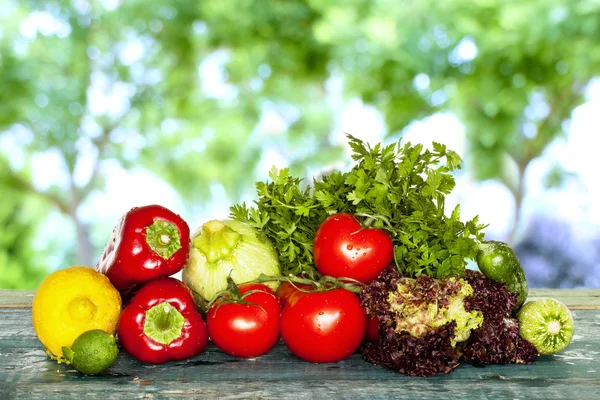 Assortimento di verdure fresche in tavola in giardino — Foto Stock