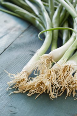 Vintage masada yeşil soğan