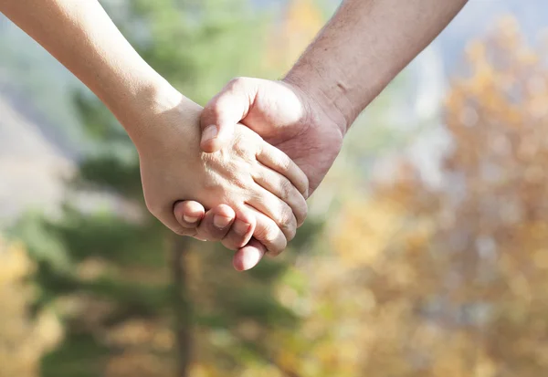 Пара прогулок в осеннем парке, держась за руки — стоковое фото