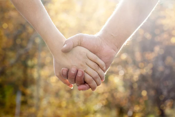 Couple walking in the autumn park holding hands — Stock Photo, Image