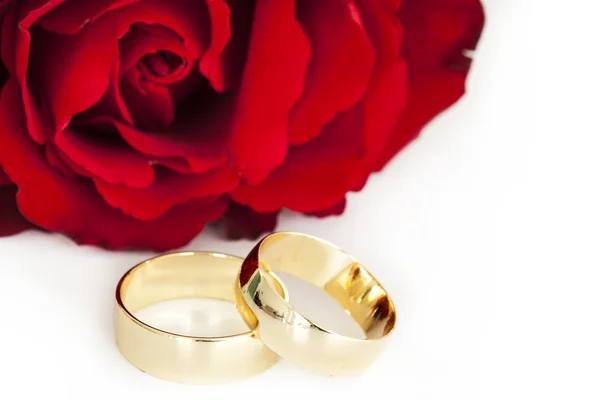 Обручальные кольца с красной розой — стоковое фото