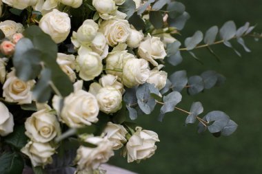 Çiçeksel krema, pembe güller ve okaliptüs dalları kompozisyonu. Düğün davetiyesi ya da tebrik kartı için çiçek arkaplanı. Pastel pembe renkte çiçekler, buketi kapat.