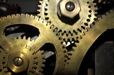 COG tekerlekler portre