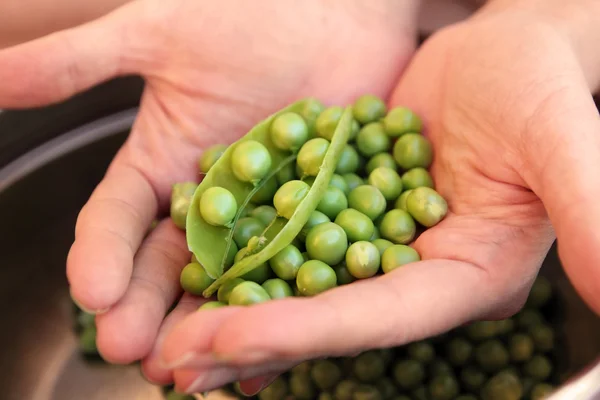 Erbsen in den Händen — Stockfoto