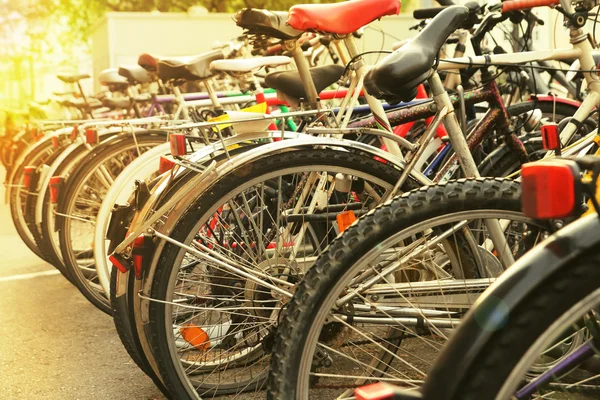 Veel fietsen op straat — Stockfoto