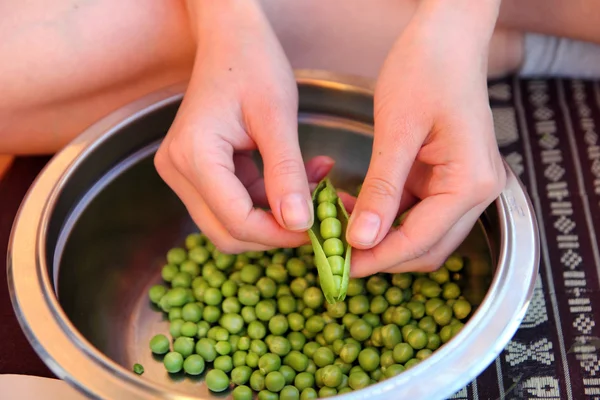 Frau Hände, die grüne Erbsen schälen — Stockfoto