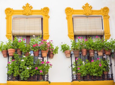 cordoba windows çiçeklenir
