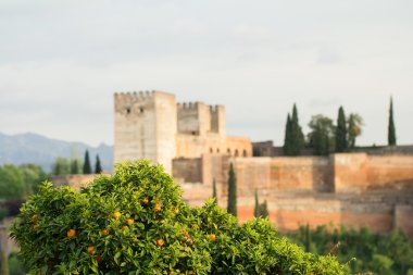 Alhambra palace İspanya