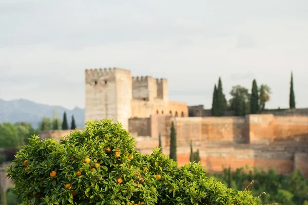 Palacio de la alhambra en España — Foto de Stock