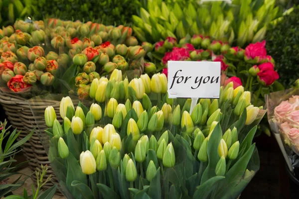 Tulpen voor u — Stockfoto