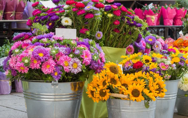 Zonnebloemen in bloemenwinkel — Stockfoto