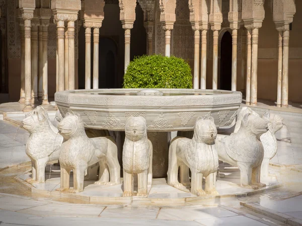 Fonte de leão alhambra — Fotografia de Stock