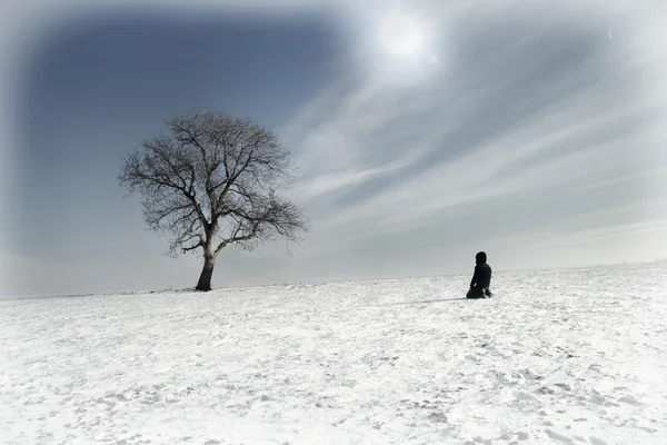 Einsamer Mann und einsamer Baum — Stockfoto