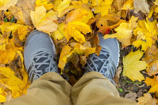 man legs standing in yellow autumn leaves