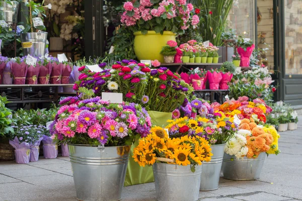 Florist lagra blommor i krukor — Stockfoto