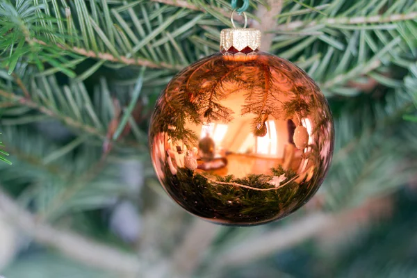 Natale rosso festivo bauble appeso su un albero — Foto Stock
